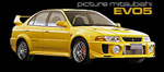 Image of evo5yb1.jpg