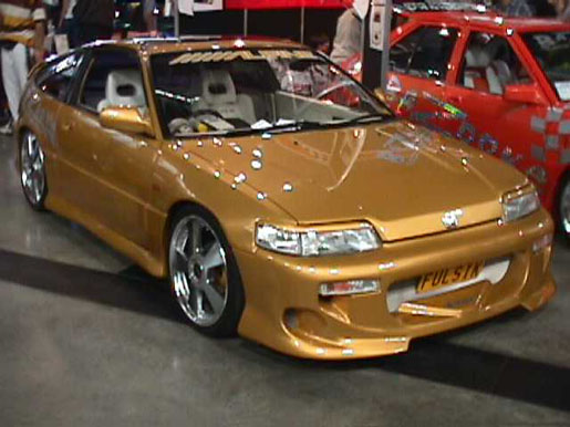 Image of fulsik3.jpg