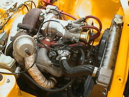 Image of melloyello-22.jpg