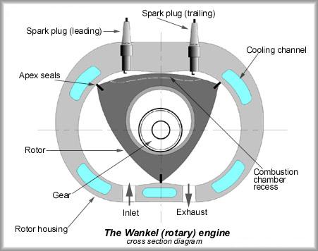 Image of rotdiagram1.jpg